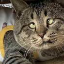 ㅤㅤㅤㅤㅤㅤㅤㅤ