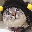 junislee's Avatar