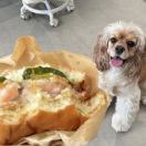 用户36519746的头像-梦马考研