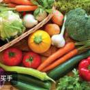 滢滢蔬菓