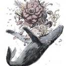 用户99007804的头像-梦马考研