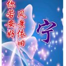 宁