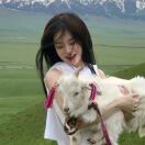 Emily Bowes Court转租&房东直租