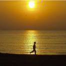 冰山之魂（微信没复，电话沟通）的头像-熵减岛