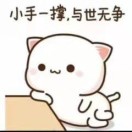 寞雨的头像