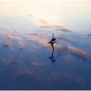 佳音顺意店主头像