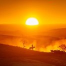 禄昭的头像-熵减岛