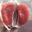 刚哥，13981782832