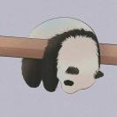 霖尤。