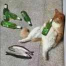 过路的67