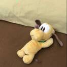 ber