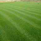 湖南，江西可心草皮种养有限公司