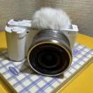 A0押金租凭电脑🖥相机📷