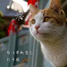 昊妈吴小苑
