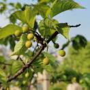 资阳市好人家商贸宋良勇