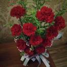 康乃馨（洪英）