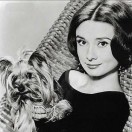 A～HL💗达人淘镜👓馆