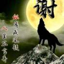 建安汇用户头像