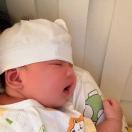 今天也是想暴瘦暴富的小鑫鑫