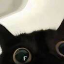   󠀀󠀀 󠀀󠀀