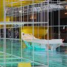 Profile picture of 孙悟空、