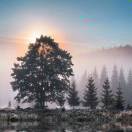 知足的头像-创薯资源