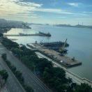 小海豚_67939107