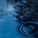 听听那冷雨
