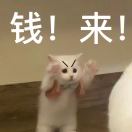 球球球球球球球