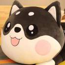 无上于天，无地于下