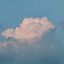 我是假霸王你是真虞姬