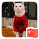 杨晓晴