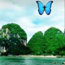 潇潇