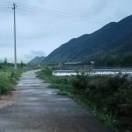 用户39791174的头像-cg男孩