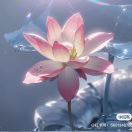 .💞婷🥀婷^_^的头像-澳门国际