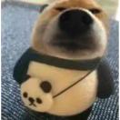 芝士奶酪