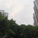 喻鑫淼