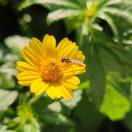 淡淡的忧伤的头像-宋播播带货工作室