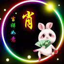 与智者同行（9.6米高栏车）