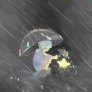 麦田里的守望者