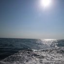 Flipped的头像-博士钣金 - www.bsbanjin.com