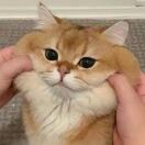 Nick的头像-长游分享网