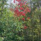 我很好6768的头像-华闻时空