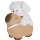 悉尼求租
