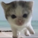 小栗子