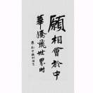 海棠仍在的头像