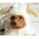 不畏将来，不念过去