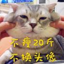 猫倌儿●ↀωↀ●✧的头像
