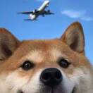 user_6r24clno5iakt7ak member profile picture