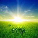 汪守勤的头像-博士钣金 - www.bsbanjin.com